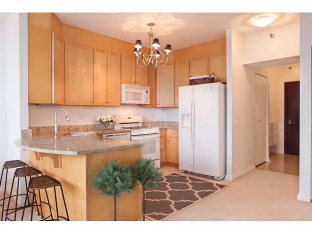 33 West Ontario Street, Unit 36G Chicago, IL 60654 - Photo 5 of 13 a kitchen with stainless steel appliances granite countertop a sink refrigerator and cabinets