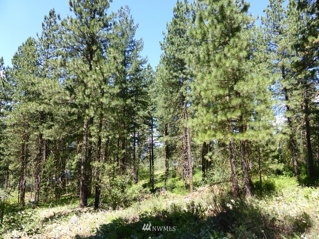 312 Trillium Road Winthrop, WA 98862 - Photo 20 of 23