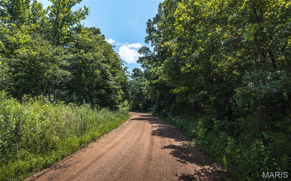 0 Czar Tower Road Steelville, MO 65565 - Photo 8 of 19