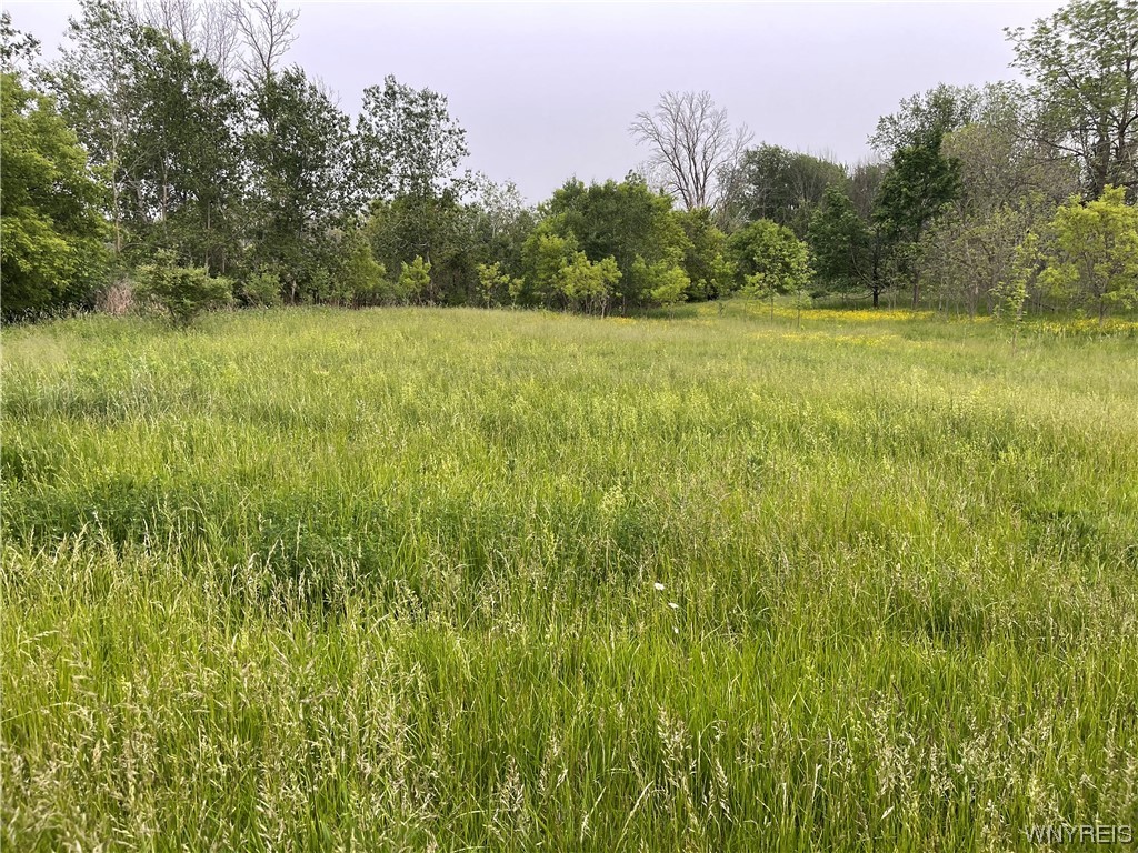 0 Angling Road Corfu, NY 14036 - Photo 1 of 1 Gallery Image 1