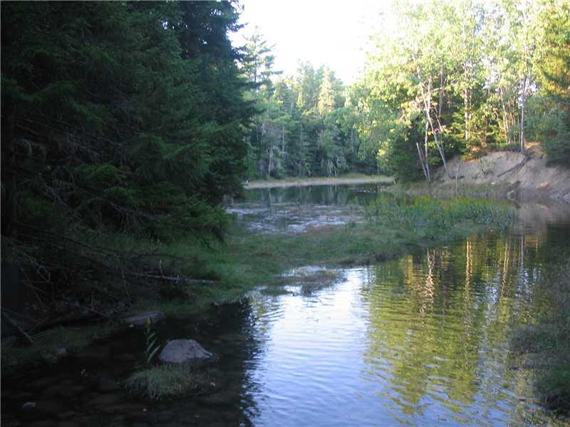 25 Commissary Point Road Lubec, ME 04652 - Photo 20 of 20 Waterfront/Dock/Pier. Access to Wier...