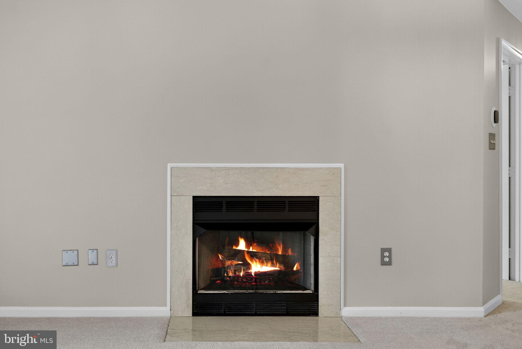 44084 Natalie Terrace, Unit 301 Ashburn, VA 20147 - Photo 15 of 59 a living room with a fireplace and a fireplace