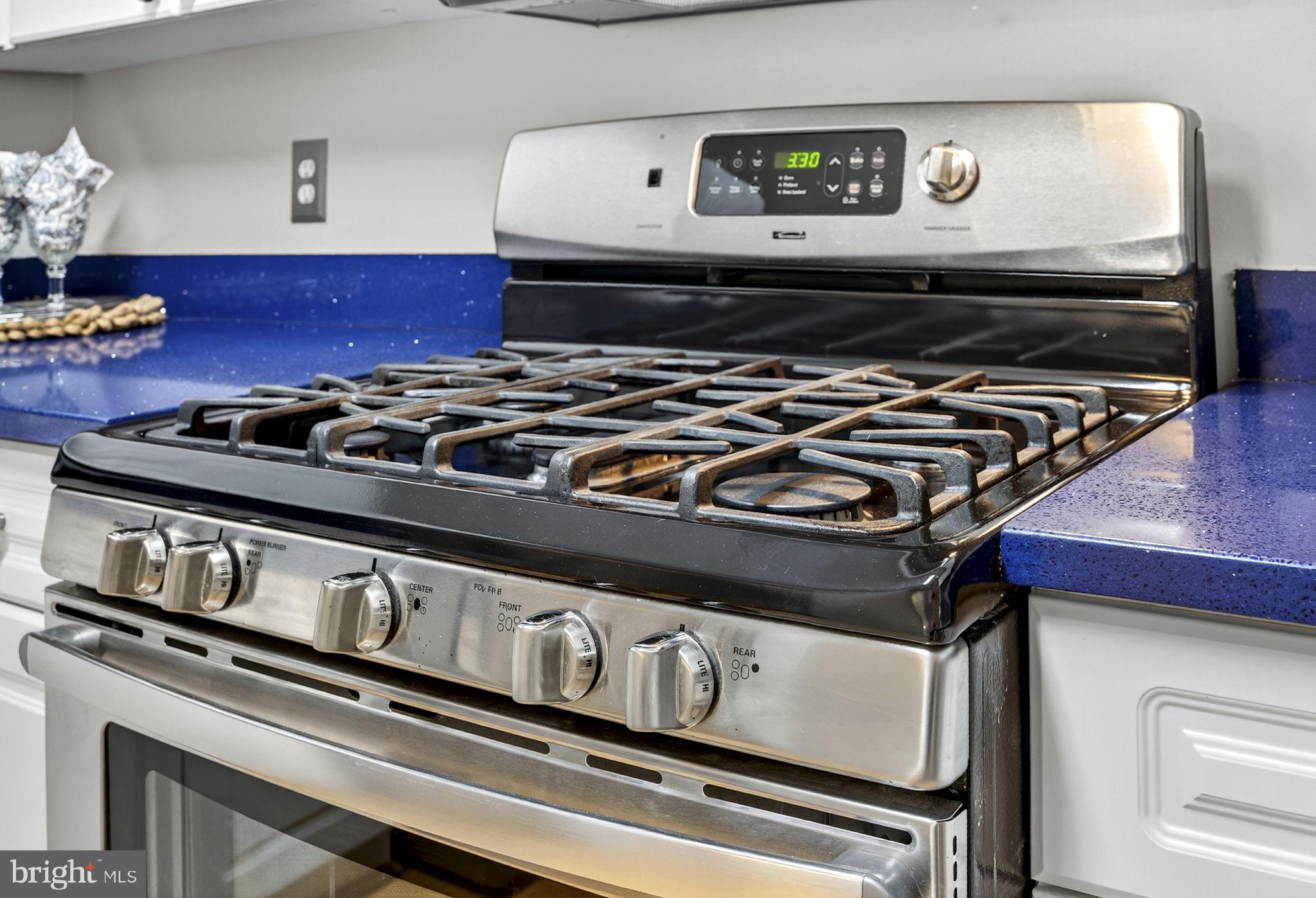 44084 Natalie Terrace, Unit 301 Ashburn, VA 20147 - Photo 35 of 59 a close view of a stove top oven