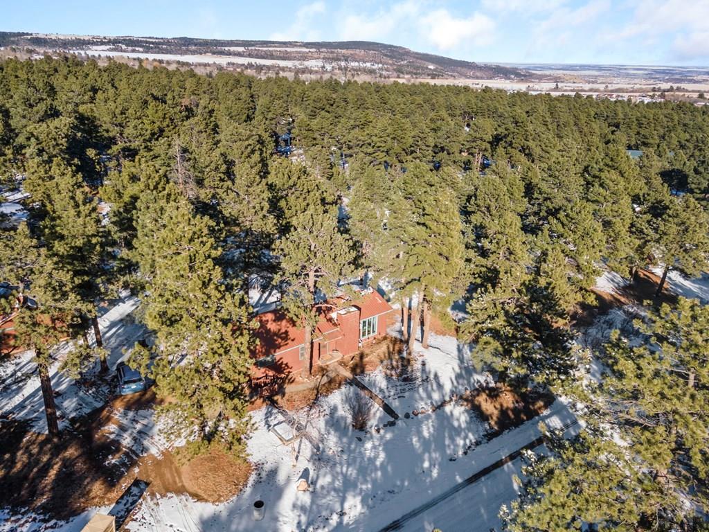 8127 Maple Drive Rye, CO 81069 - Photo 46 of 54 Gallery Image 46