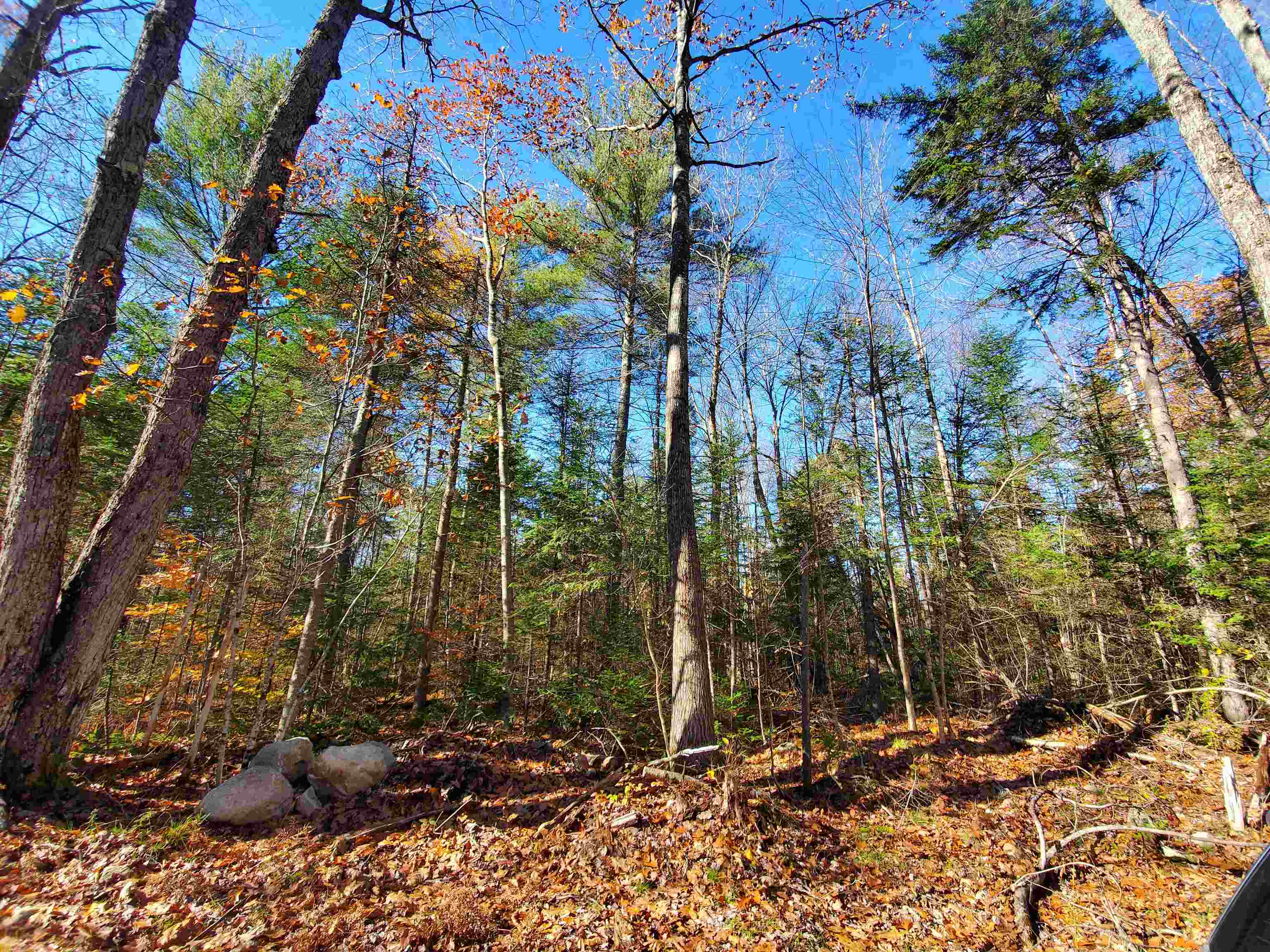 0 Phelps Road Springfield, NH 03284 - Photo 2 of 8