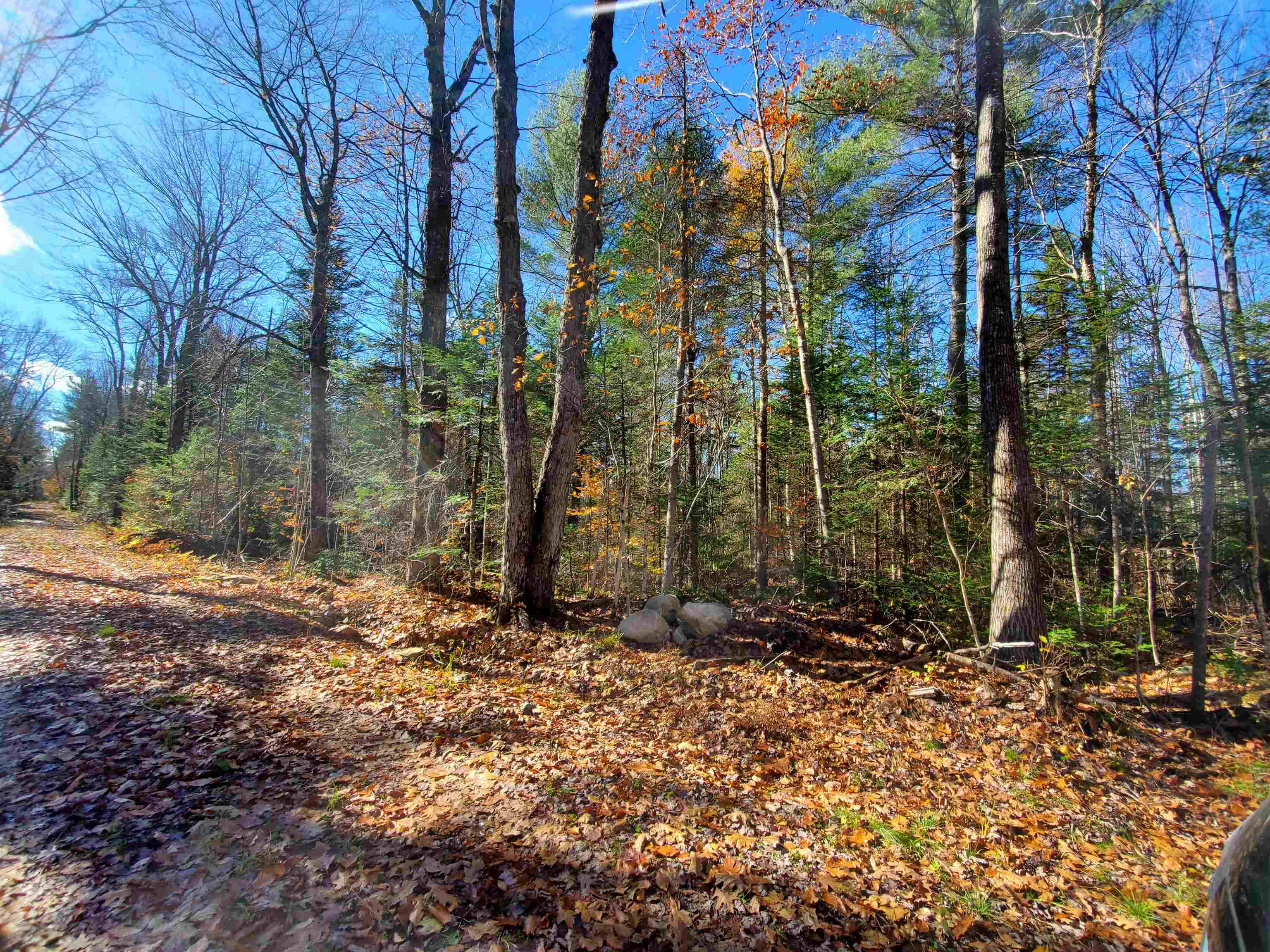 0 Phelps Road Springfield, NH 03284 - Photo 3 of 8