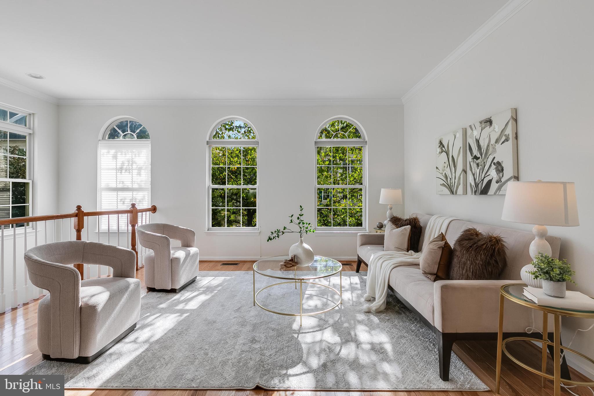 5454 Patuxent Way Alexandria, VA 22312 - Photo 10 of 51 Living room with plenty of natural light