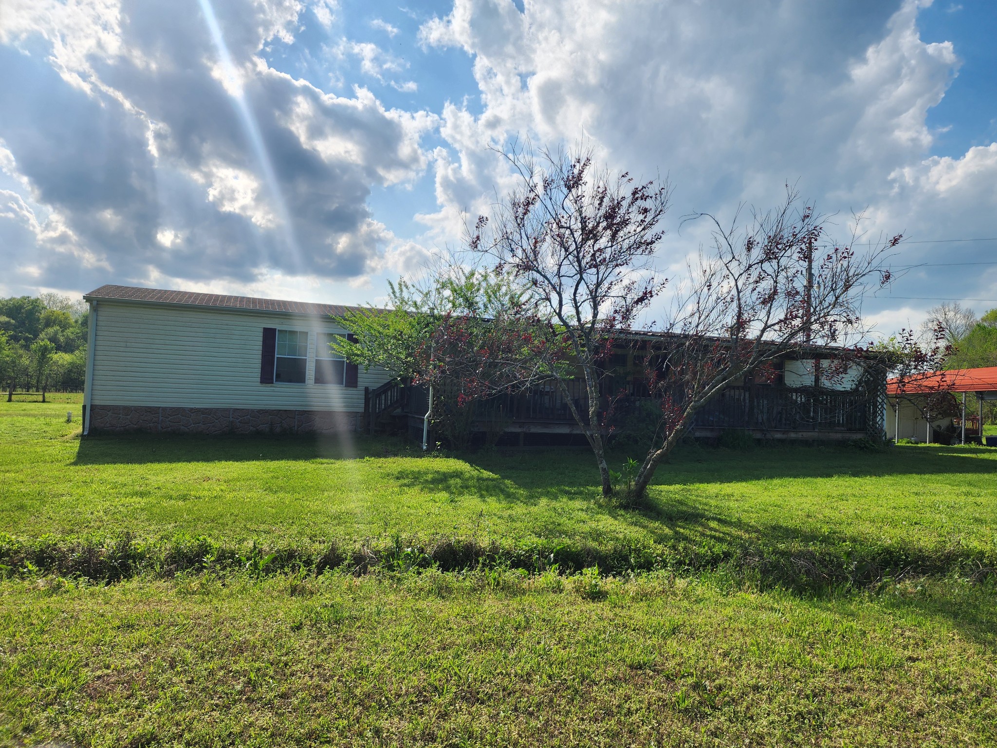 994 WB Summers Road Stewart, TN 37175 - Photo 24 of 26 a view of a backyard with potted plants and large trees