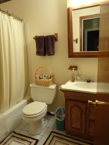168 Seabury Road Bolingbrook, IL 60440 - Photo 17 of 24