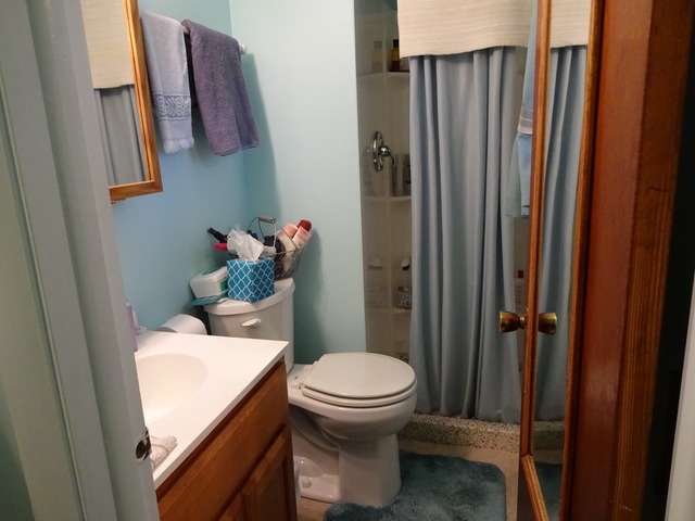 168 Seabury Road Bolingbrook, IL 60440 - Photo 18 of 24