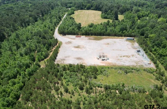a view of a yard with plants