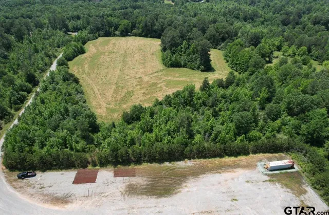 a view of yard with green space