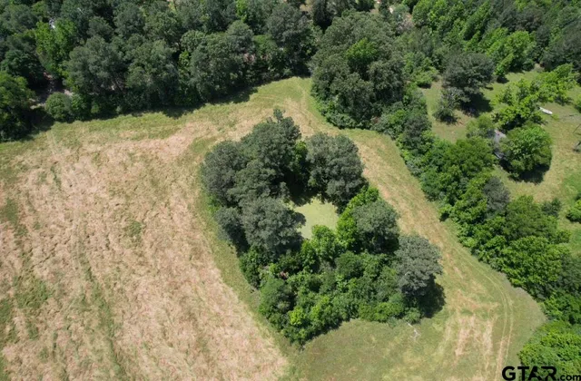 a view of a yard with plants