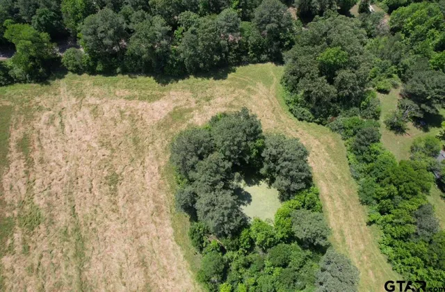 a view of a yard with plants and a small yard