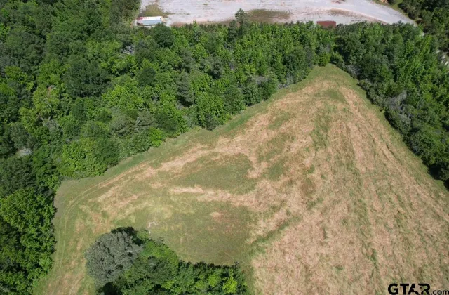 a view of a yard with plants and trees