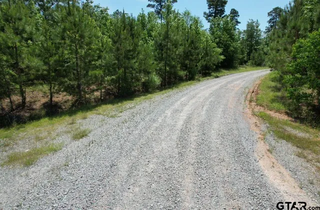 a view of a pathway both side of yard