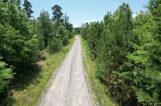 a view of outdoor space and trees all around
