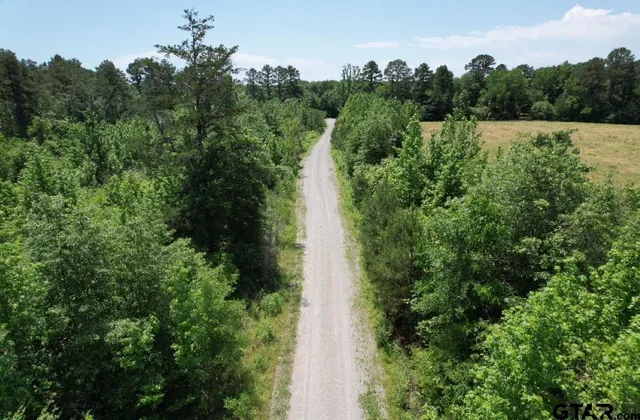 a view of a pathway with a yard