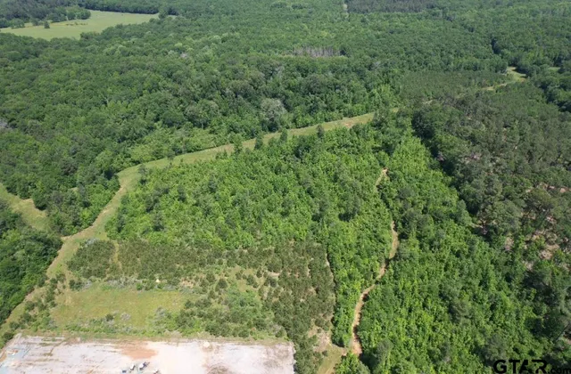 an aerial view of residential houses with outdoor space and trees