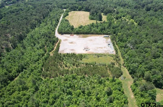 a view of a bunch of trees and bushes