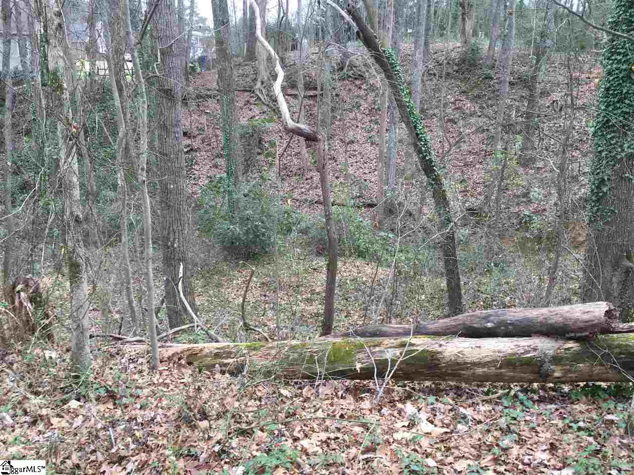 208-206 Windsor Road Greer, SC 29651 - Photo 1 of 3