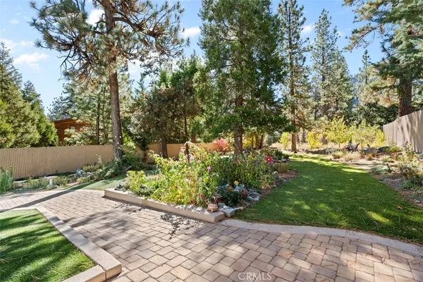 a close up of a plant