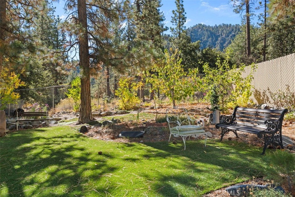 1585 Linnet Road Wrightwood, CA 92397 - Photo 31 of 38 a backyard of a house with table and chairs