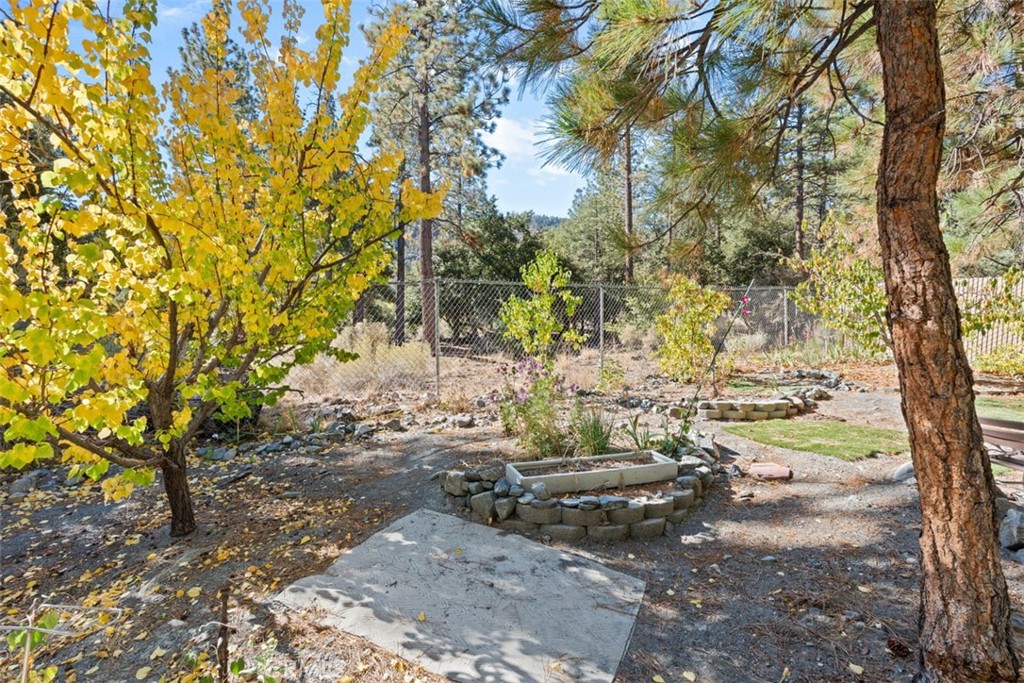 1585 Linnet Road Wrightwood, CA 92397 - Photo 32 of 38 a view of a yard with plants and trees