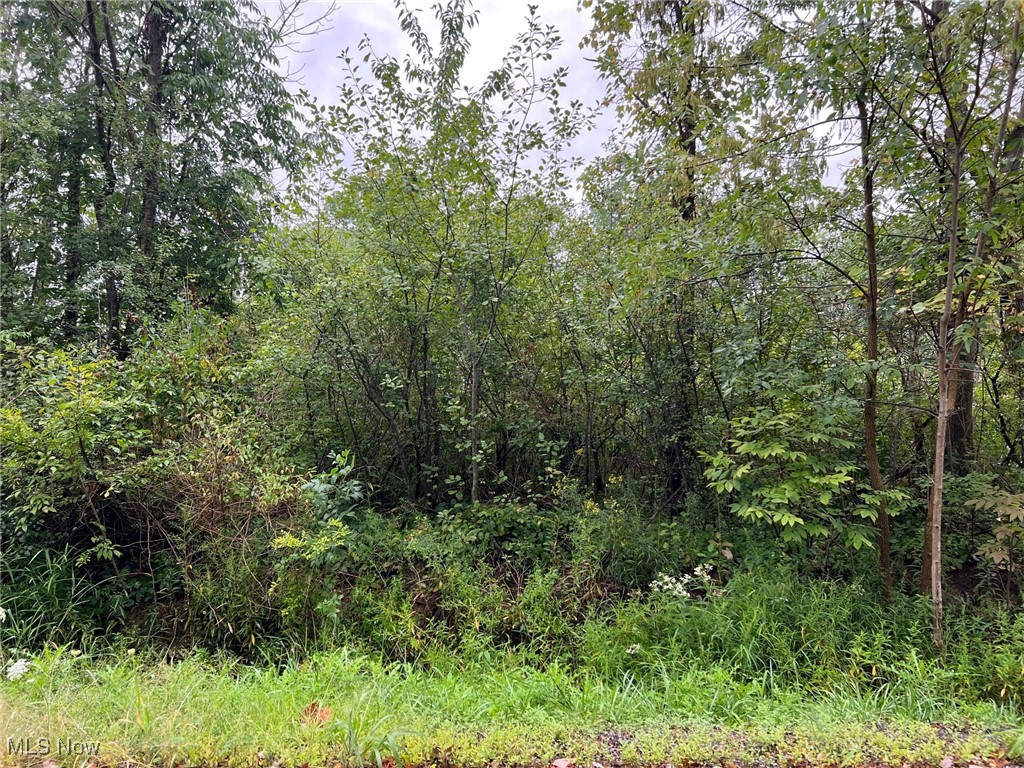 Springfield Road Cleveland, OH 44128 - Photo 1 of 3 Wooded Lot