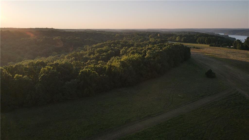Brown Bend Road Edwards, MO 65326 - Photo 11 of 46