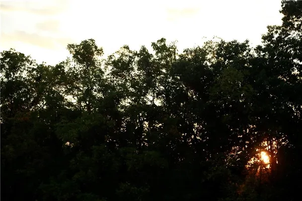 $399,000 | Brown Bend Road, Edwards, MO 65326