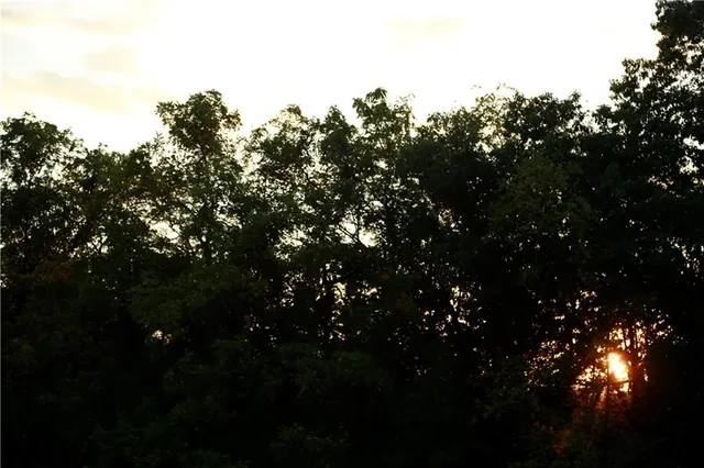 $399,000 | Brown Bend Road, Edwards, MO 65326