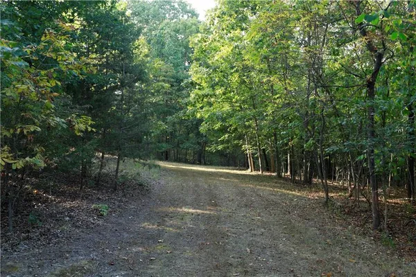 $399,000 | Brown Bend Road, Edwards, MO 65326