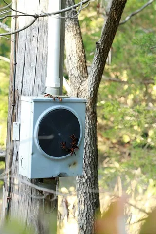 $399,000 | Brown Bend Road, Edwards, MO 65326