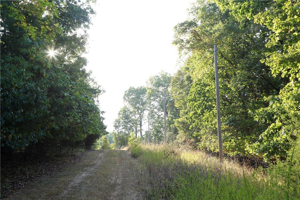 Brown Bend Road Edwards, MO 65326 - Photo 39 of 46