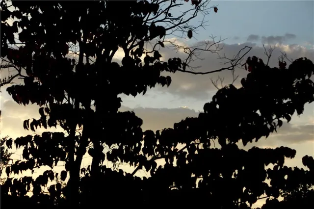 $399,000 | Brown Bend Road, Edwards, MO 65326