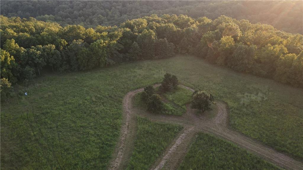 Brown Bend Road Edwards, MO 65326 - Photo 10 of 46