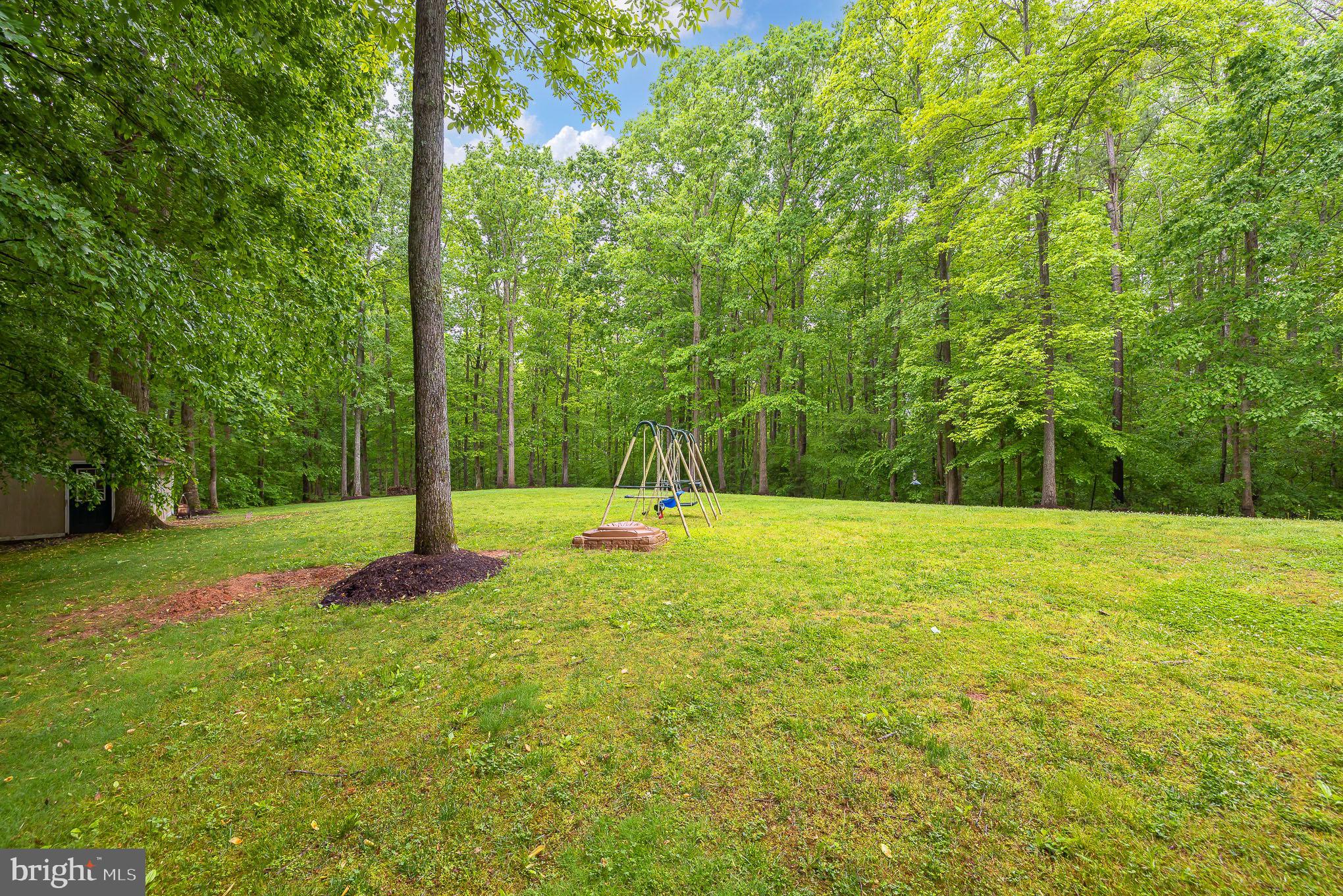 11020 Edenton Road Partlow, VA 22534 - Photo 27 of 33 Yard View