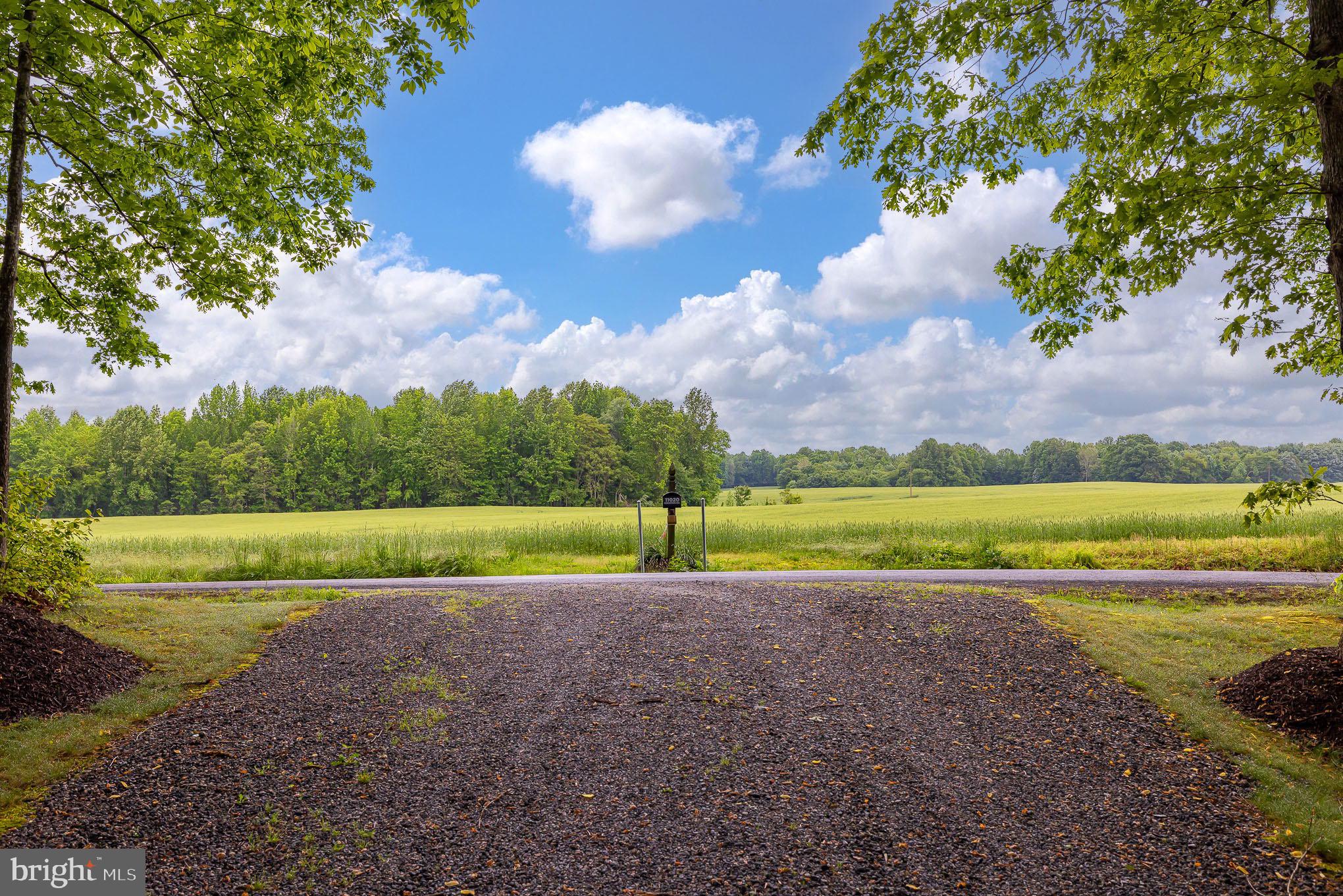 11020 Edenton Road Partlow, VA 22534 - Photo 33 of 33 Driveway View
