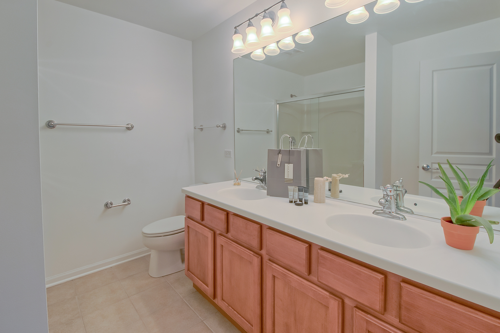 2804 Neubauer Circle Lindenhurst, IL 60046 - Photo 14 of 26 a bathroom with a sink a toilet and a mirror