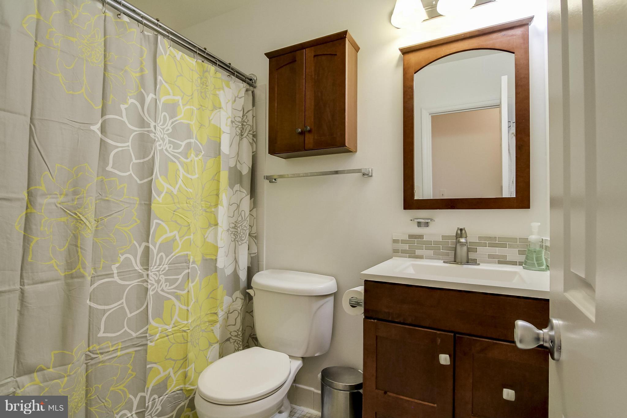4815 Carriagepark Road Fairfax, VA 22032 - Photo 19 of 30 Bath (Master)