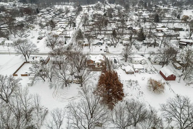 a view of lots of trees