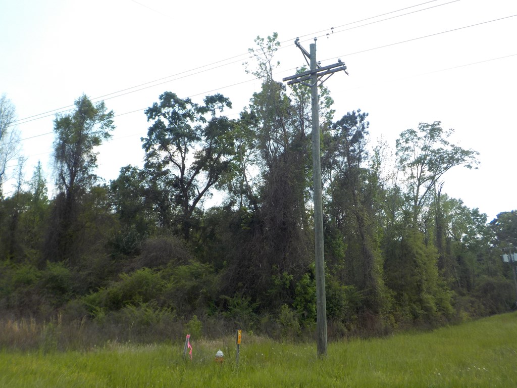 5.3-ac Memphis Church Road Dothan, AL 36301 - Photo 7 of 29