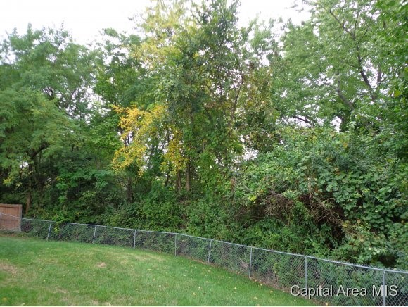 18 Holliday Springfield, IL 62702 - Photo 2 of 15