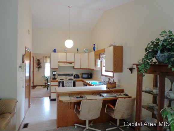 18 Holliday Springfield, IL 62702 - Photo 9 of 15