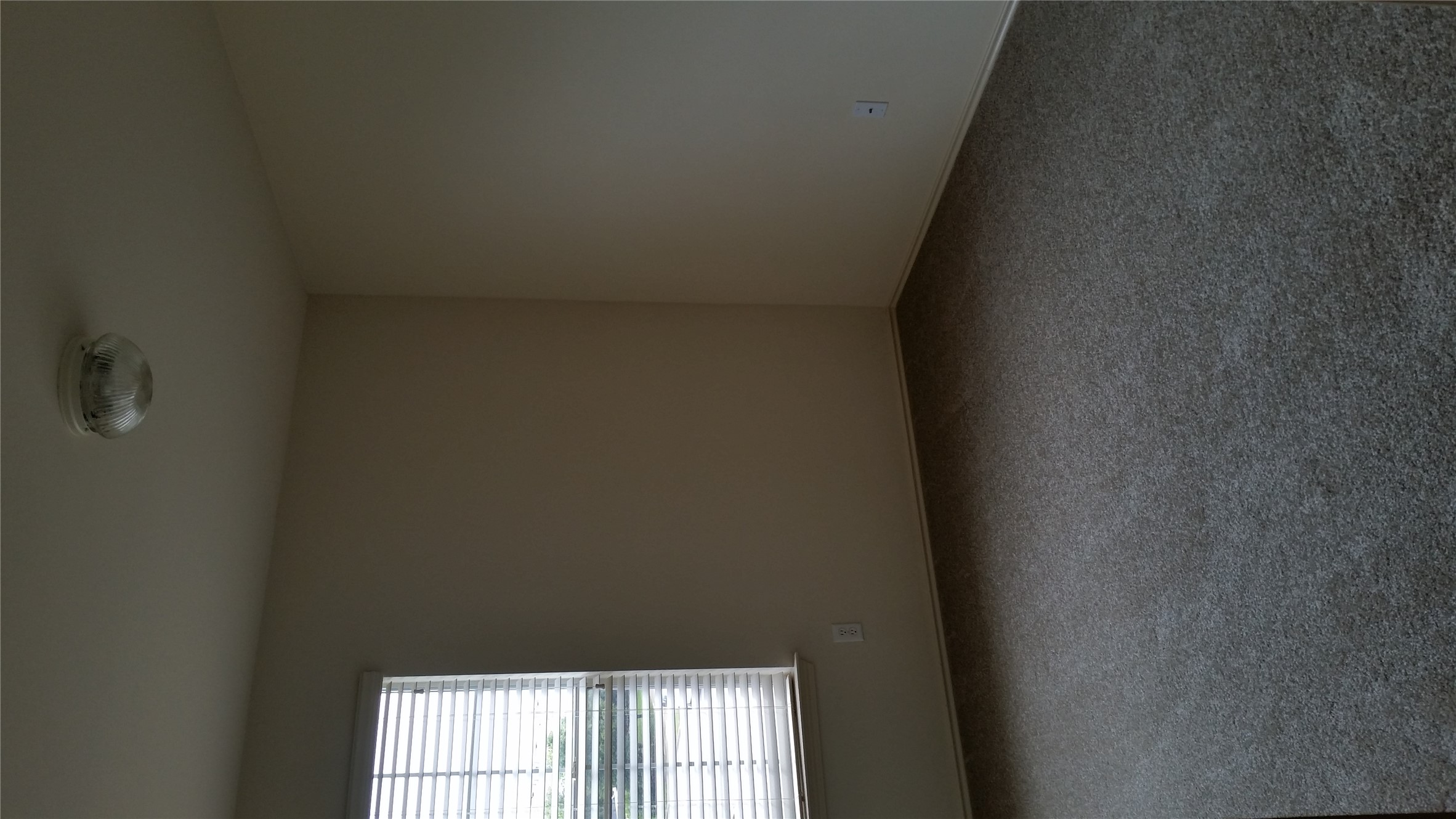 1324 Peppermint Trail Pflugerville, TX 78660 - Photo 25 of 33 View of carpeted spare room
