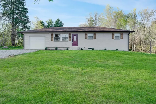 a view of a back yard with green space