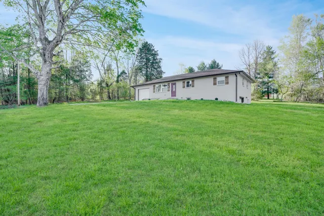 a view of a garden with trees