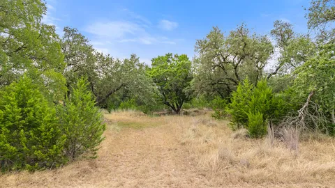 a view of a yard with plants and trees