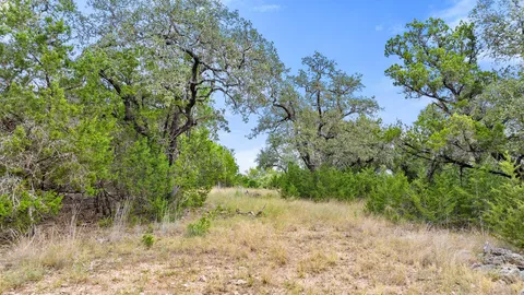 a view of a yard with plants and a tree